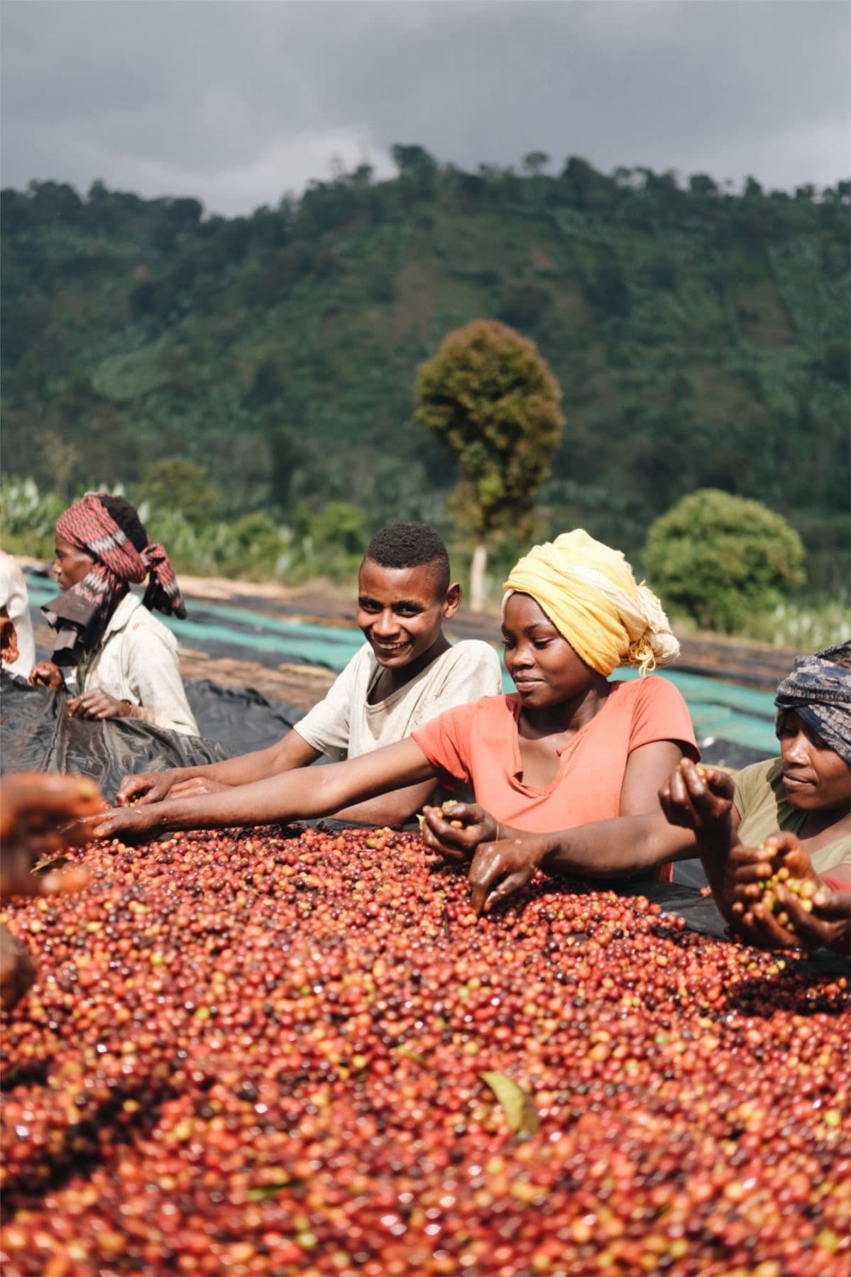 Buganda Ground Roast — 250g pack